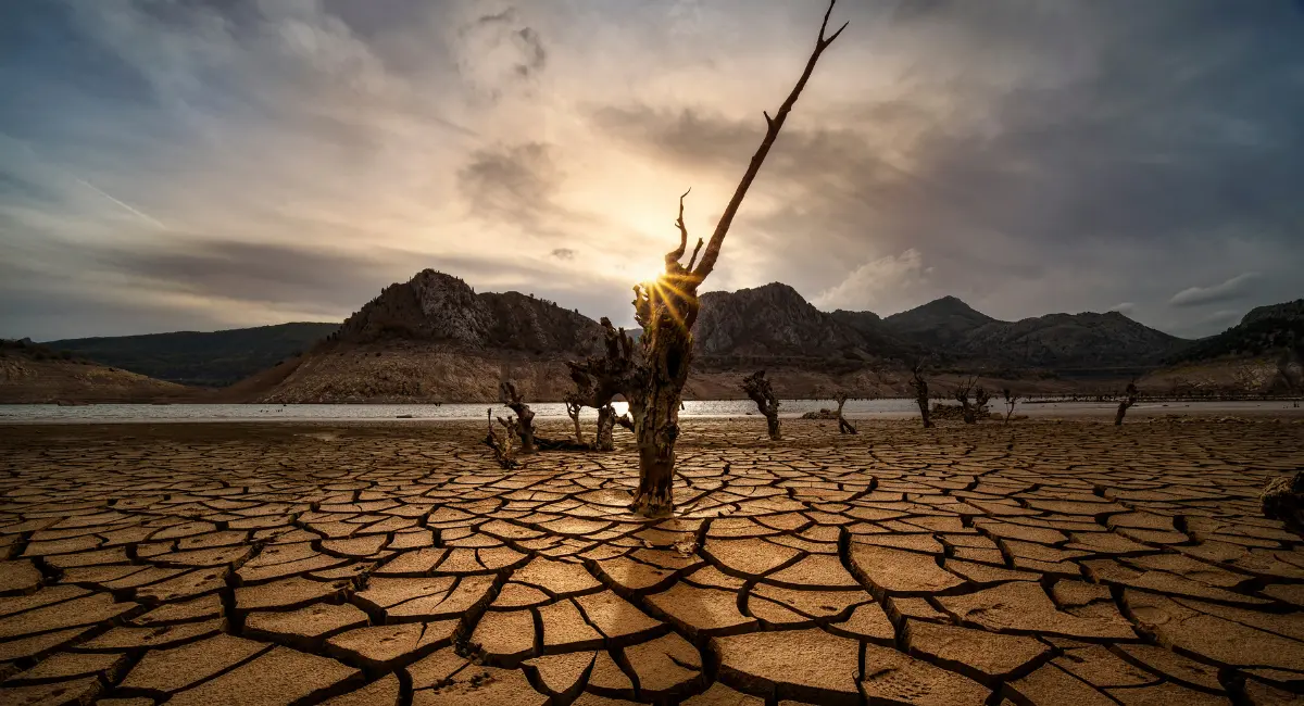 Drought and Your Health